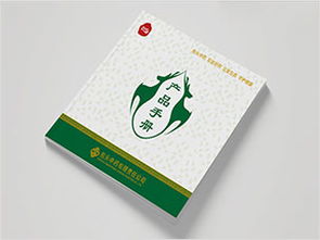 國家電網(wǎng)能源研究院畫冊設(shè)計案例圖片欣賞 西風(fēng)東韻設(shè)計公司