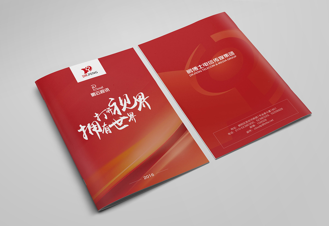 鵬云視訊宣傳冊|平面|書裝/畫冊|小旗幟1 